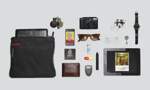 in your bag No: 274 – Peter Nitsch
