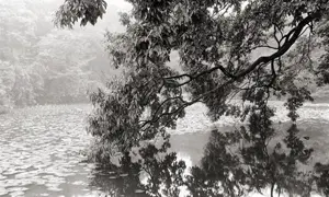 Darkroom workshop with Tim Porter