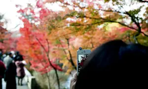 Kyoto film photography workshop – Postscript