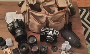 In your bag No: 347 – Wayne Reich