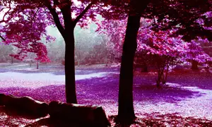 Lomo are at it again! New Film!