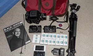 In your bag No: 420 – Dale Murray