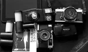 In your bag No: 441 – Steven Ichikawa