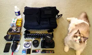 In your bag No: 473 – Benicio Murray