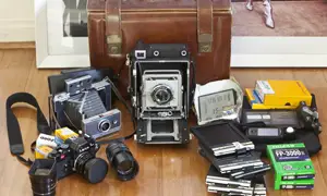 In your bag No: 504 – David White