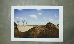 Big Print Marketplace