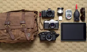 In your bag No: 592 – Denis Lincoln