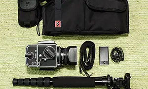 In your bag No: 739 – David Munson