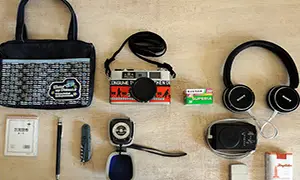 In your bag No: 798 – Bertram Eiche