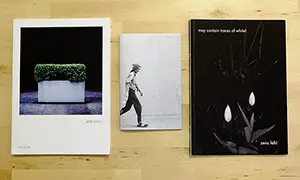 Photography Zines (and books) No: 15