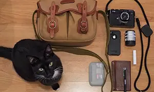 In your bag No: 877 – Shannon Atkinson