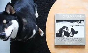Jesse’s Book Review – Alaska Eskimo by Yukichi Watabe