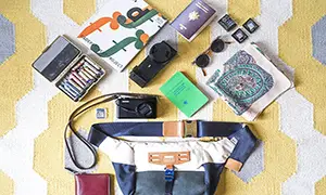 In your bag No: 1048 – Pauline Chardin