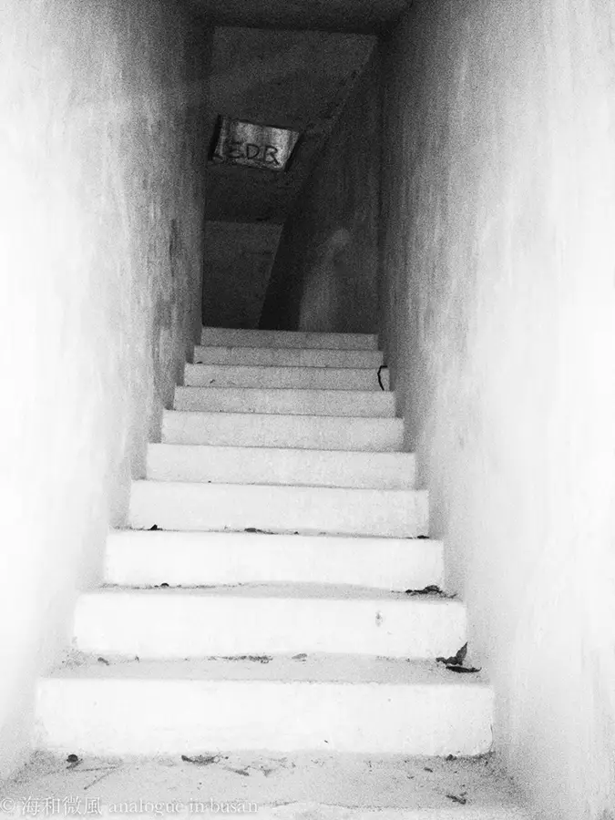 ghost in shing mun tunnels-1