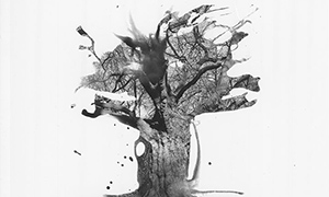 Get Featured: Jack Allan