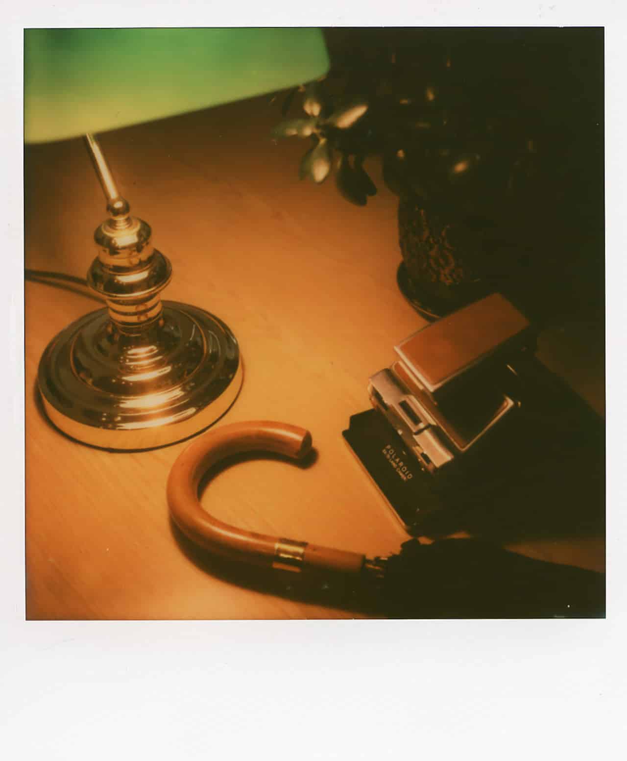 Your First Camera – By Dan K