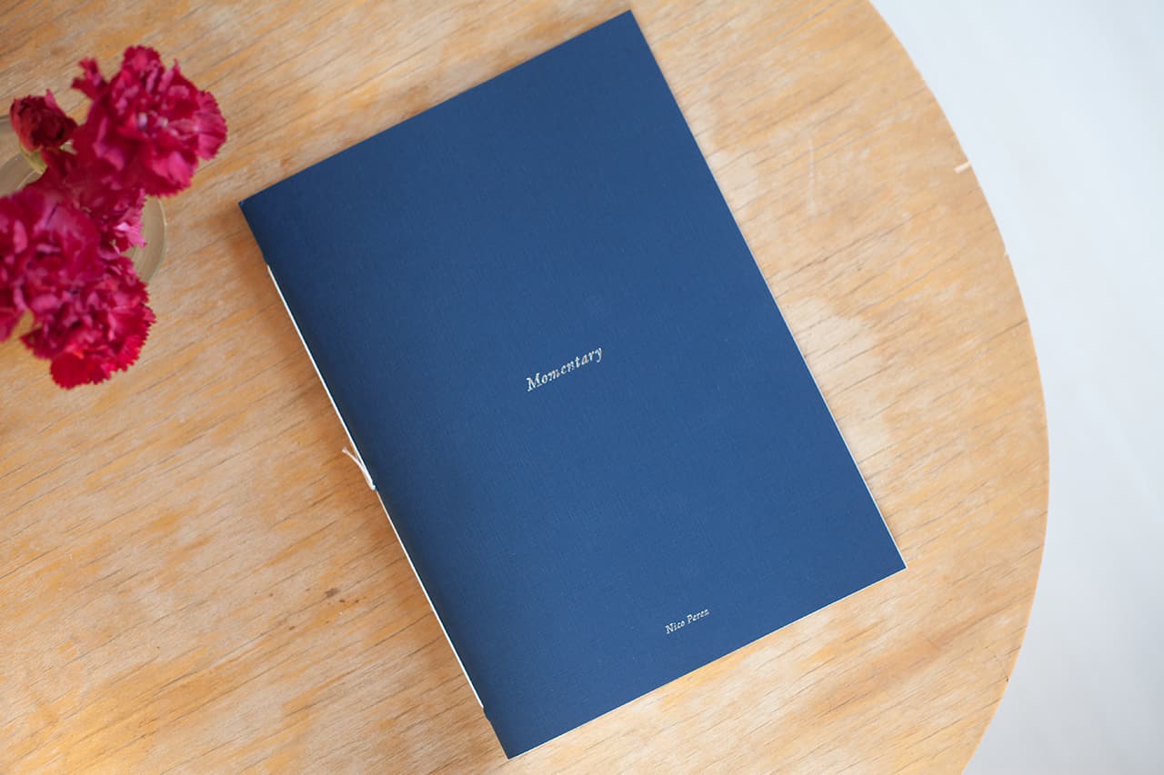 Jesse’s Book Review – Momentary by Nico Perez