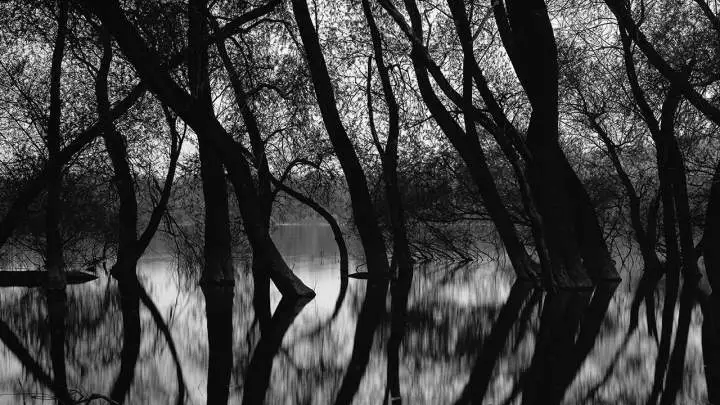 Get Featured: Greg Large