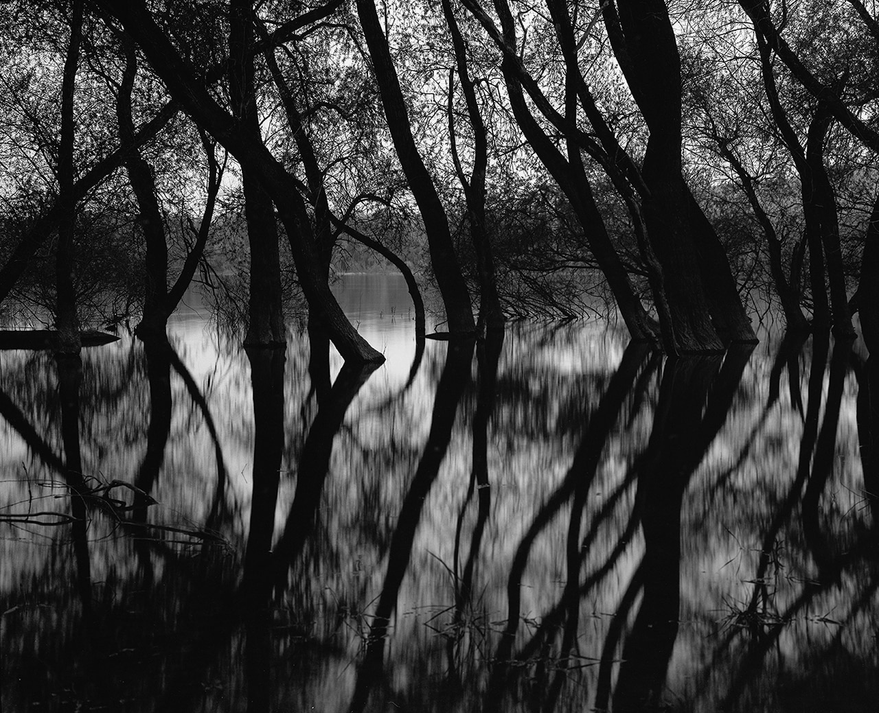 Get Featured: Greg Large