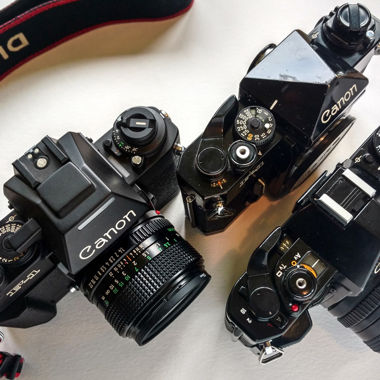 Camera Geekery: Canon 35mm film SLRs compared