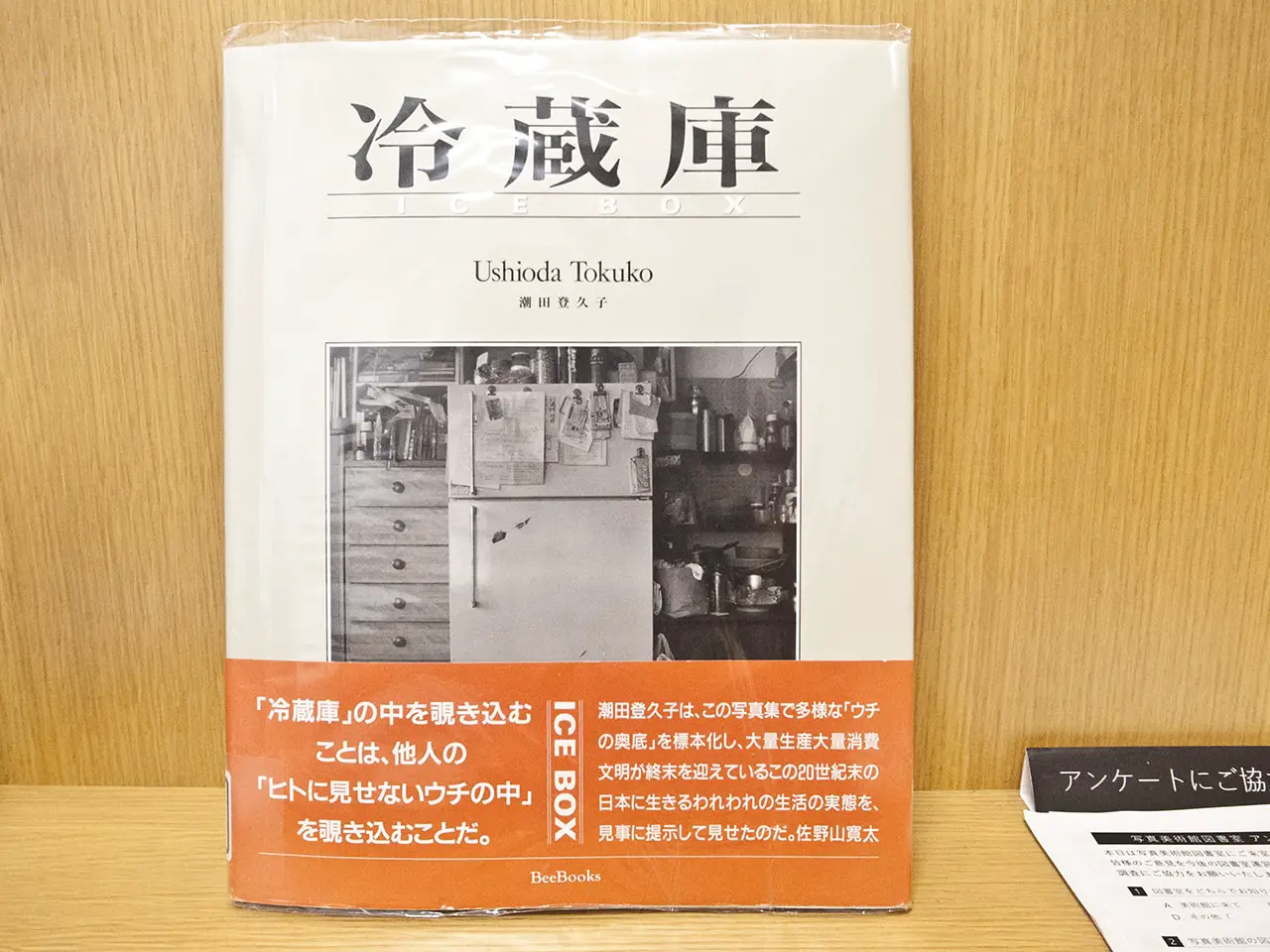 Jesse’s Book Review – Ice Box by Ushioda Tokuko