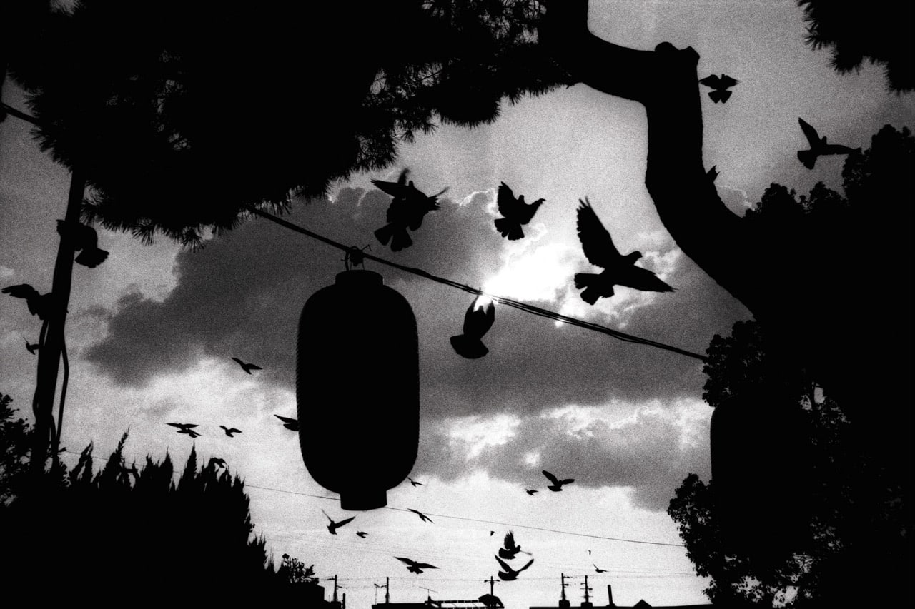 Get Featured: Tim Heubeck