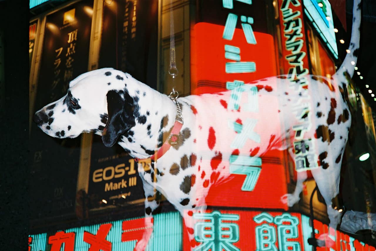 Jesse’s Visual Interviews: Leslie Leung