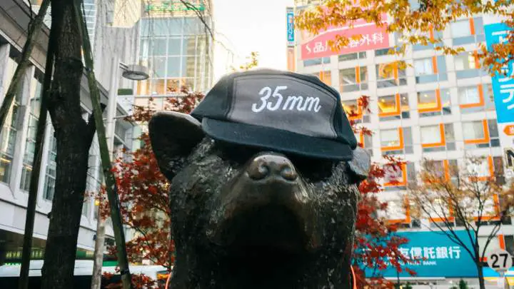 Togtees: Film photography swag for the holidays