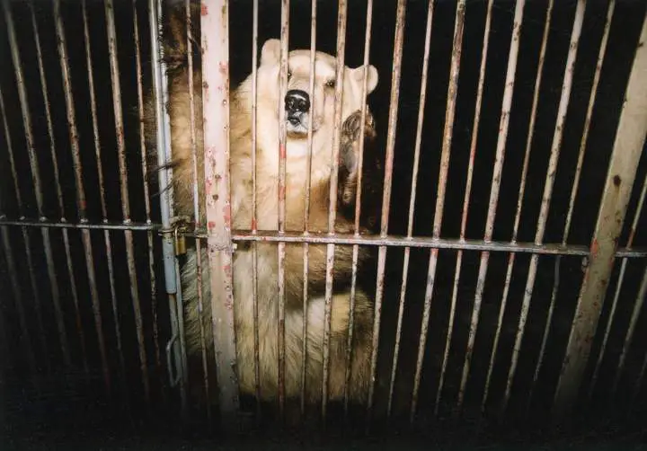 Belgrade Zoo, Belgrade, Serbia, 2005