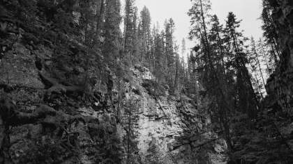 Film News: CineStill release Developer & fix B&W Monobath