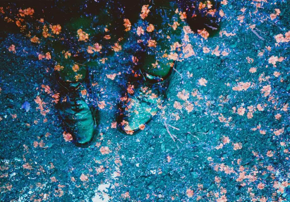 Jesse’s Visual Interviews: Chikako Watanuki