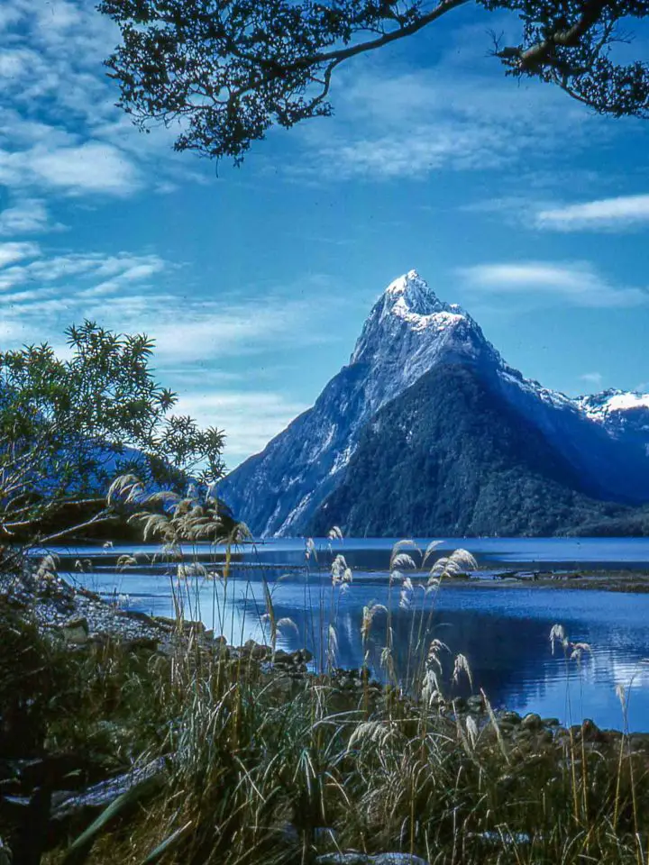 Milford track photographs
