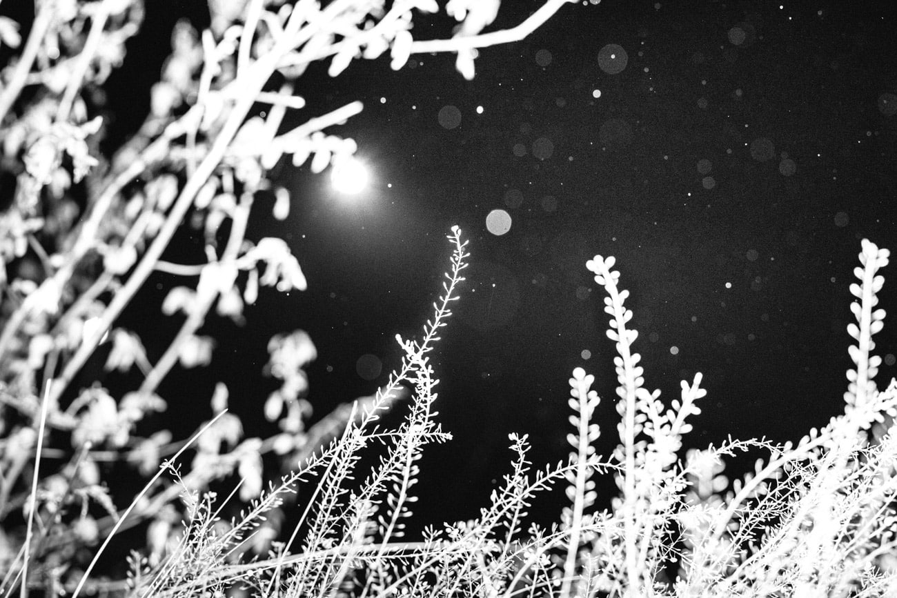 Jesse's Visual Interviews: Connor Huff - Japan Camera Hunter