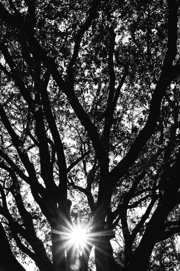 Jesse's Visual Interviews: Connor Huff - Japan Camera Hunter