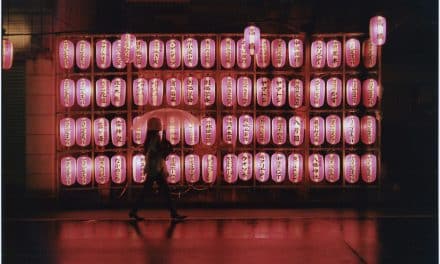 Jesse’s Visual Interviews: Lui Araki