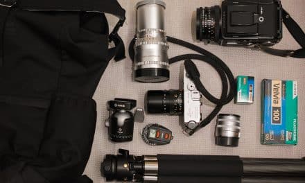 In your bag No: 1666 – Matthew Smith