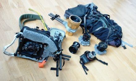 In your bag No: 1693 – Max