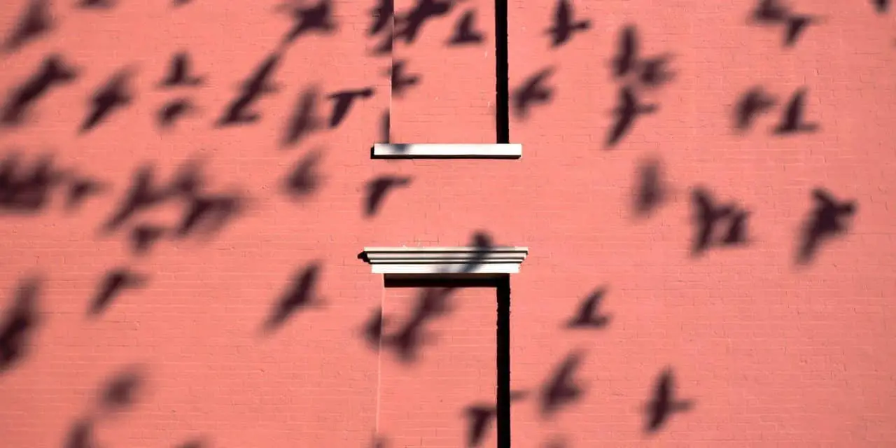 Jesse’s Visual Interviews: Eric Kogan