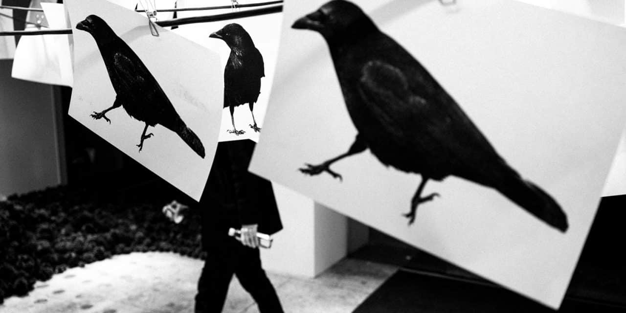 Jesse’s Visual Interviews: Graeme Heckels