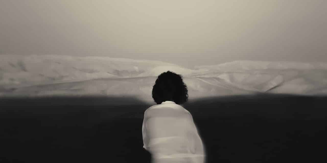 Jesse’s Visual Interviews: Alexander Bronfer