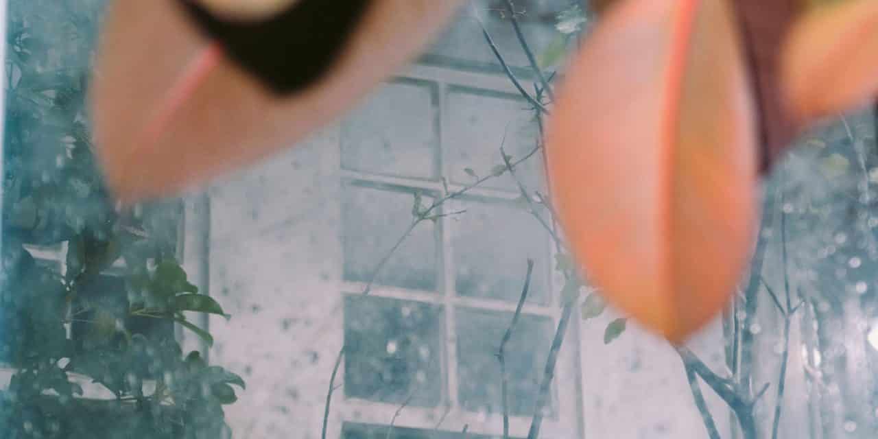 Jesse’s Visual Interviews: Katrin Koenning