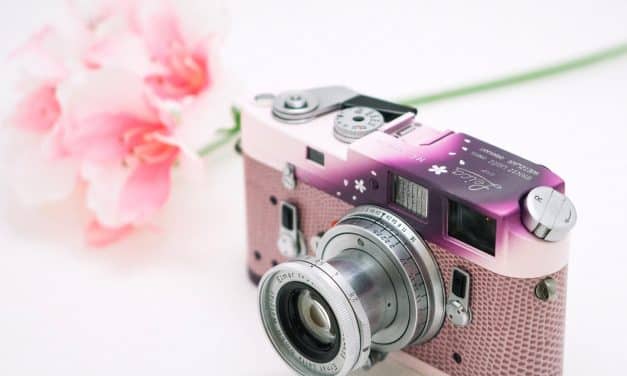 Camera Geekery: The JCH 10 Year Sakura M4