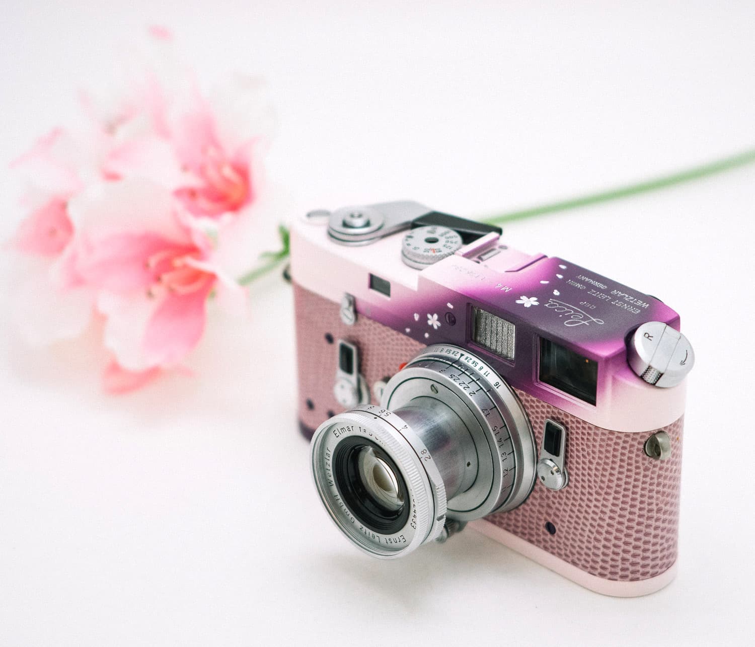 Sakura Webcam