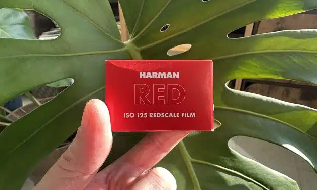Film News: Roses are Harman Red