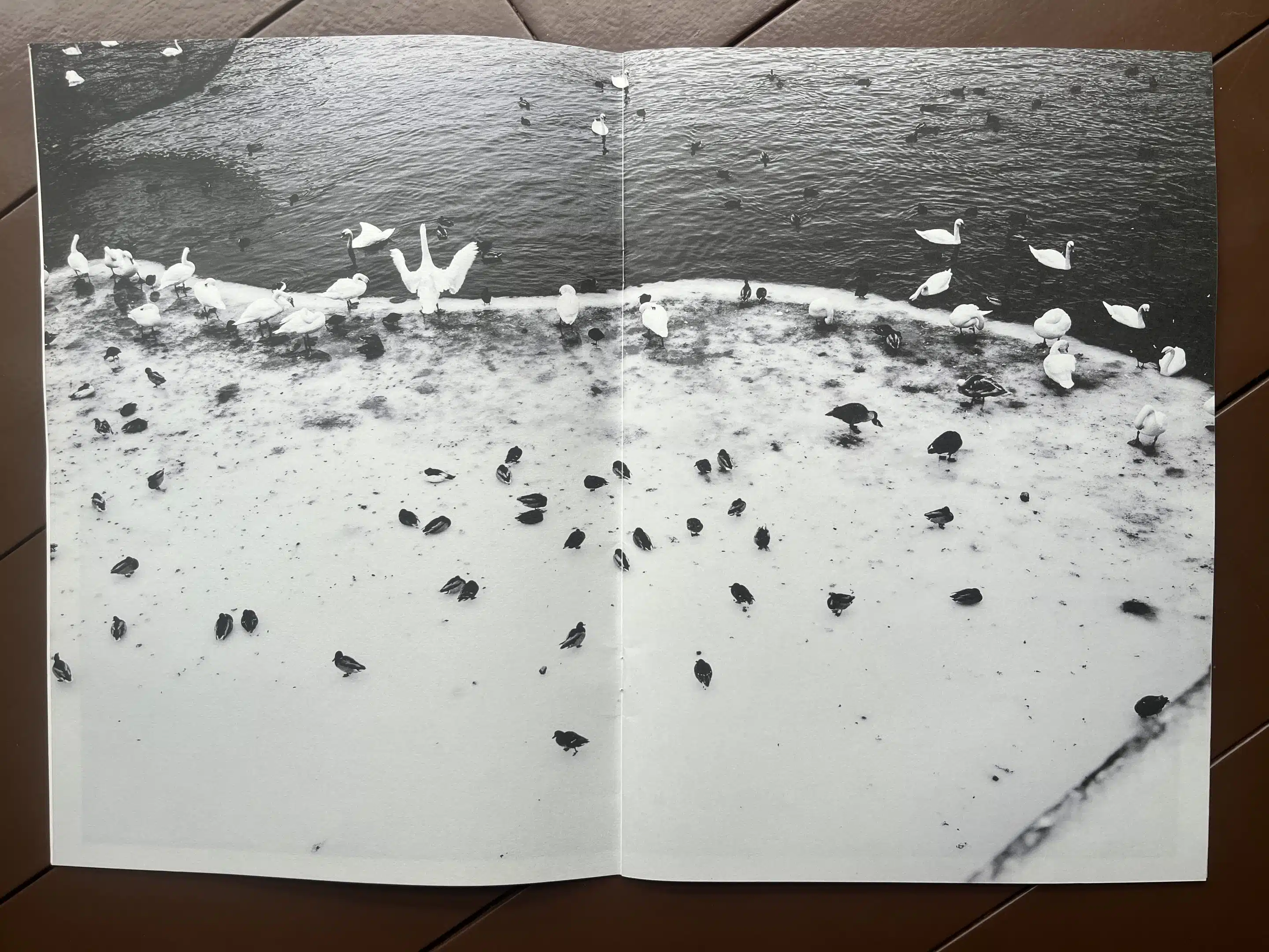 7●Jason Evans ジェイソン・エバンス写真集 014 7○Jason Evans ジェイソン・エバンス写真集 014 7○Jason Evans