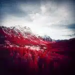 Camera Geekery: Kodak Aerochrome cameras